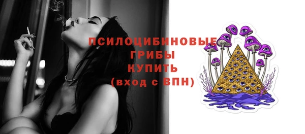 стаф Алзамай