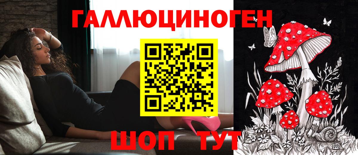 Иваново  Псилоцибиновые грибы Psilocybine cubensis  Вход с VPN 